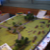 DSC00815.JPG