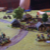 DSC00817.JPG