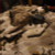 DSC00817.JPG
