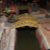 DSC00817.JPG