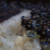 DSC06834.jpg