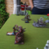 DSC09496.JPG