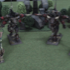 TM03.jpg