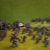 l006.jpg