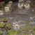 t13001.JPG