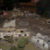 t13002.JPG