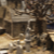 t13005.JPG