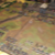 t13012.JPG