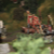 t13028.JPG